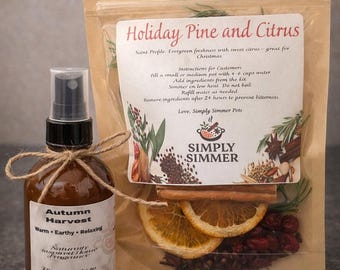 Core Bundle (Simmer Pot Bag & 4oz Room Spray)