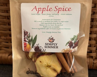 Apple Spice Simmer Pot Bag