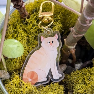 Può includere: Un portachiavi a forma di gatto in acrilico trasparente con chiusura color oro. Il gatto è arancione chiaro con pancia bianca e coda arricciata. Il portachiavi è posto su uno sfondo di muschio verde e piccole rocce.