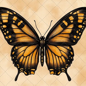 Può includere: Un'illustrazione dettagliata di una farfalla nera e arancione con intricati motivi sulle ali. La farfalla è disegnata su uno sfondo beige testurizzato.