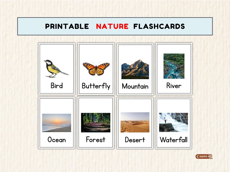 48 Nature Flashcards for Kids Printable Real Life Learning Cards Set ...