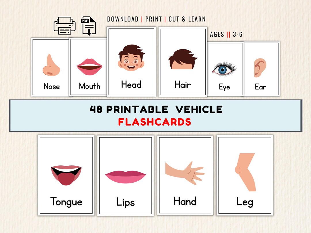 20 Body Parts Flashcards for Preschool | Printable Human Body Cards PDF ...
