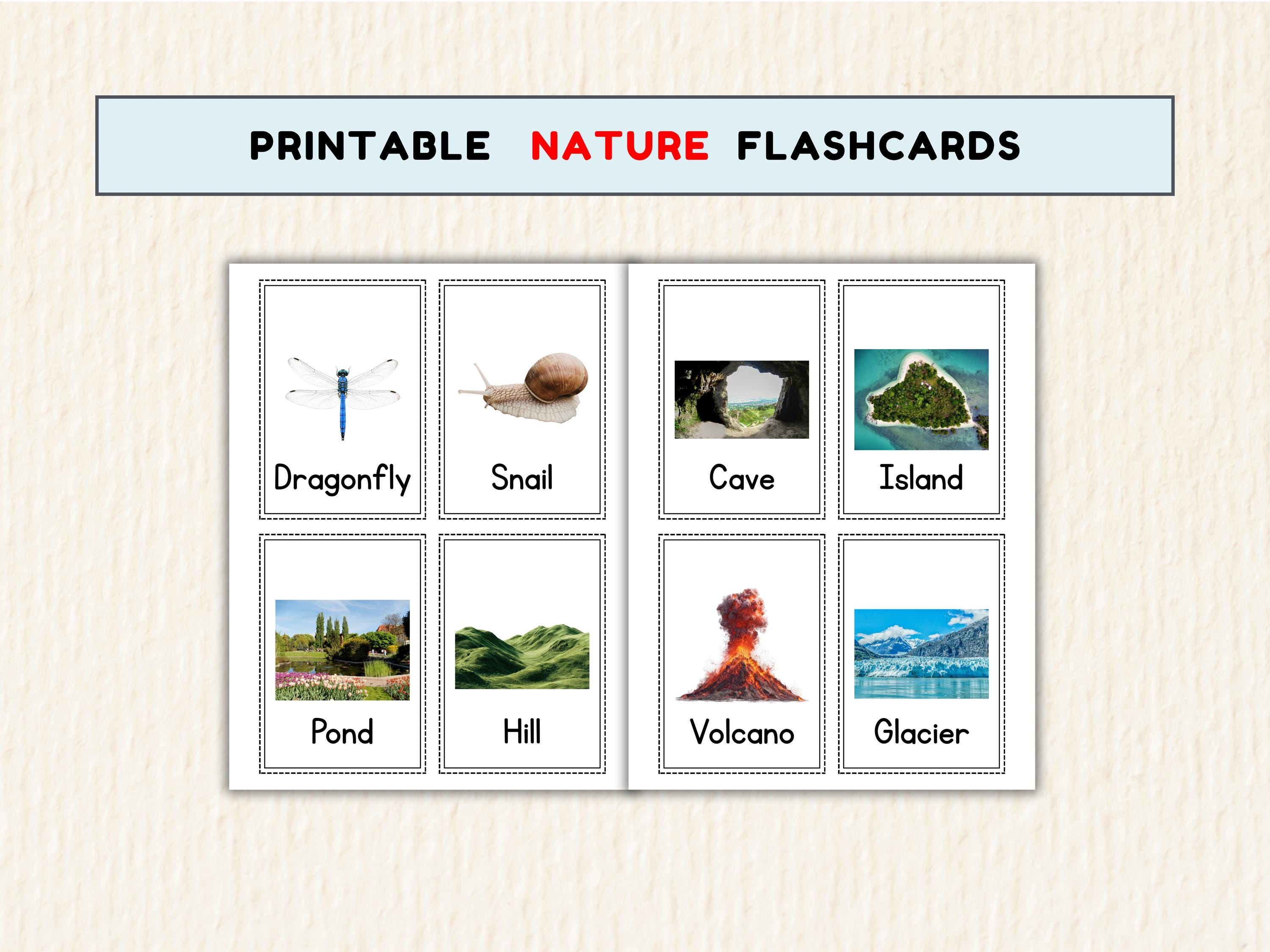 48 Nature Flashcards for Kids Printable Real Life Learning Cards Set ...