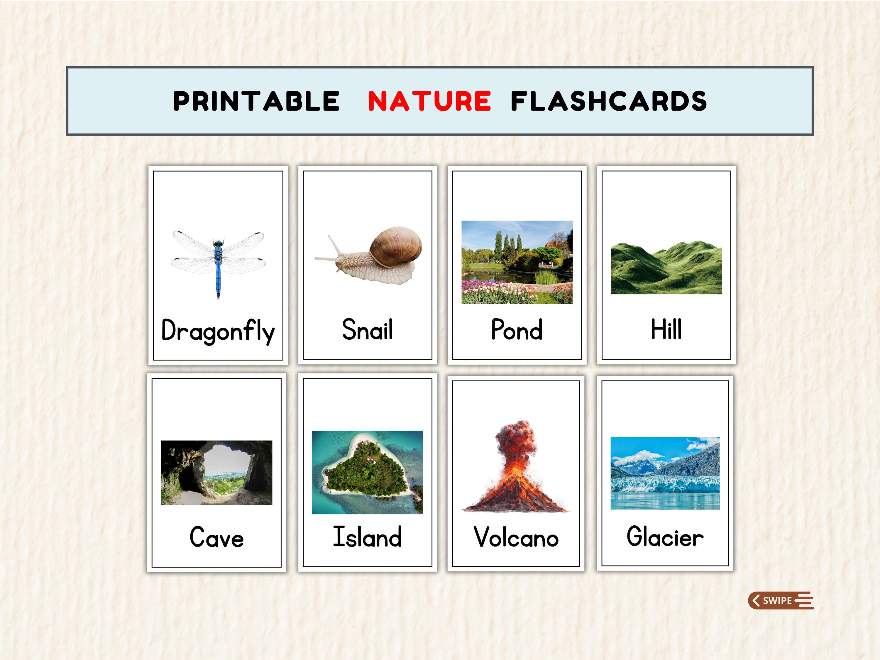 48 Nature Flashcards for Kids Printable Real Life Learning Cards Set ...