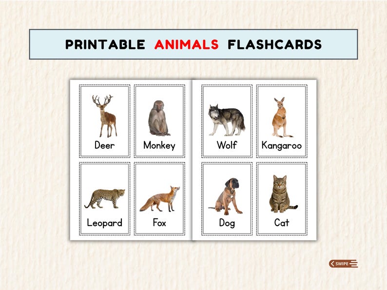 Animal Flashcards | 48 Printable Cards for Toddler Learning (digital ...