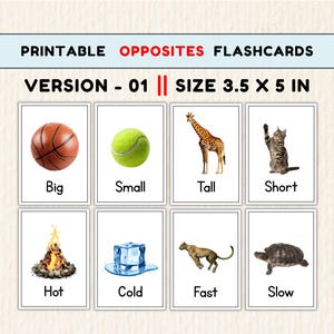May include: Printable opposites flashcards, version 01, size 3.5 x 5 in. The flashcards feature images with contrasting concepts: big/small, tall/short, hot/cold, and fast/slow. Each card has a word label. The background is a light beige.
