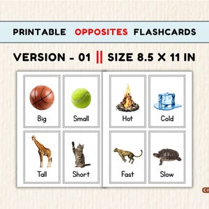 48 Opposites Flashcards, Printable Learning Cards for Preschool, Pre-K & Kindergarten PDF | 2 Sizes image 9