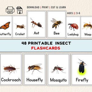 以下が含まれることがあります： 3～6歳向けの、昆虫のイラストが描かれた48枚の印刷可能なフラッシュカードセットです。各カードには、蝶、コオロギ、アリ、蜂、テントウムシ、ハチ、ゴキブリ、ハエ、蚊、ホタルなど、さまざまな昆虫が描かれています。ダウンロード、印刷、カットできます。
