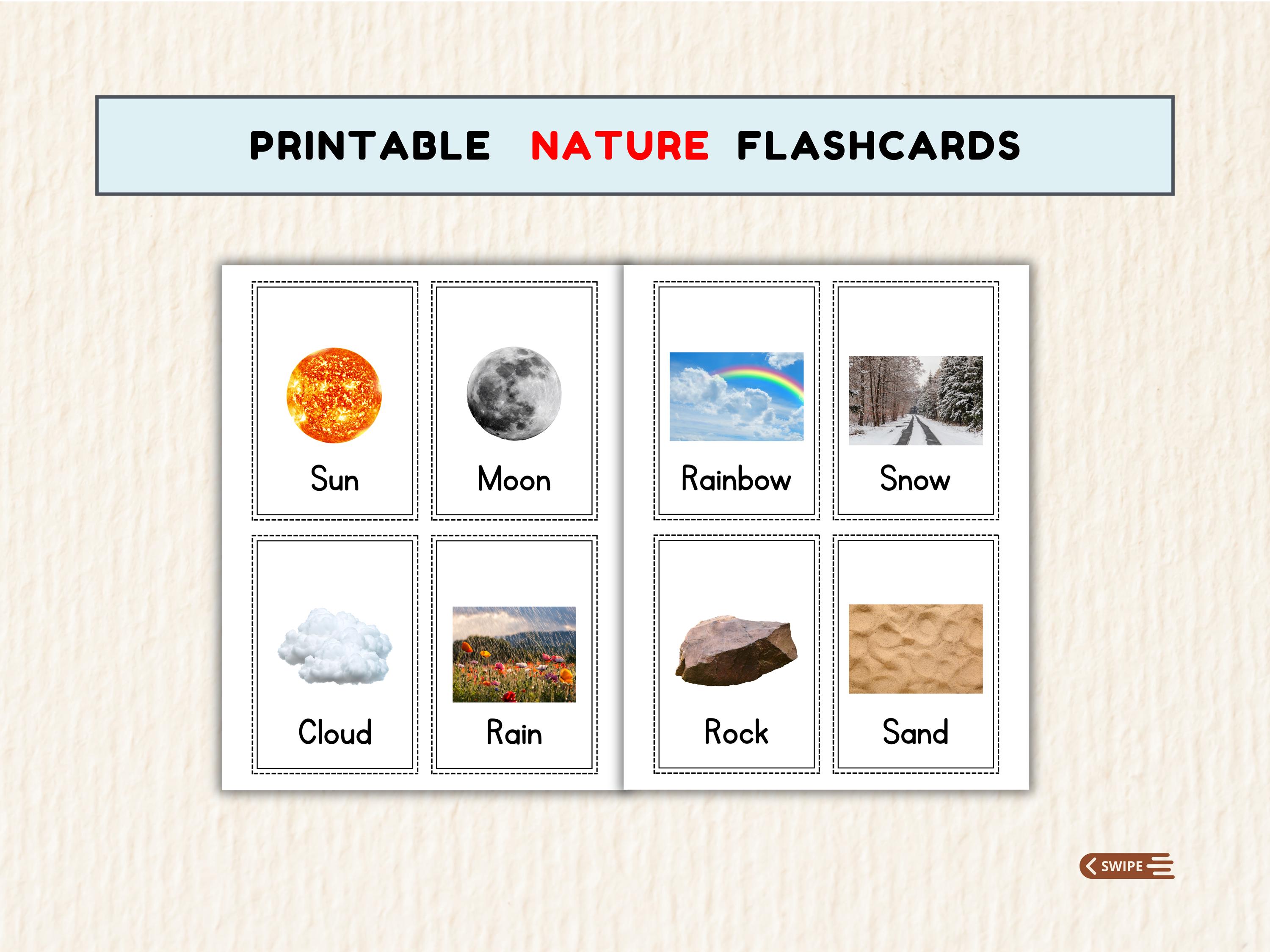 48 Nature Flashcards for Kids Printable Real Life Learning Cards Set ...