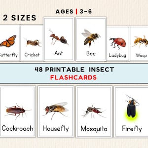 May include: A set of 48 printable insect flashcards for ages 3-6. The cards feature illustrations of various insects, including a butterfly, cricket, ant, bee, ladybug, wasp, cockroach, housefly, mosquito, and firefly. The text "2 SIZES" is at the top.