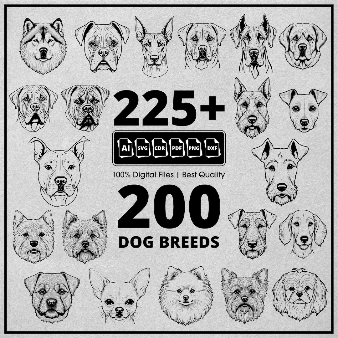Dog Breeds Svg Bundle, Dog Head Svg, Dog Svg Bundle, Dog Mom Svg Bundle ...