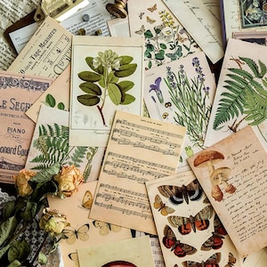 30pcs Vintage Botanical & Animal Postcards, Retro Specimen Cards, Writable Greeting Cards, Scrapbook Journal Collage Kit