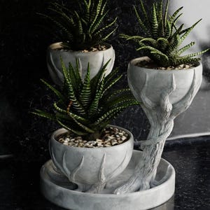 May include: A three-tiered plant stand made of white ceramic with a tree trunk design. The stand features three pots, each containing a succulent plant with green leaves.
