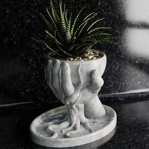 May include: A grey concrete planter shaped like a hand holding a succulent plant. The planter has a textured surface and a base that resembles roots.