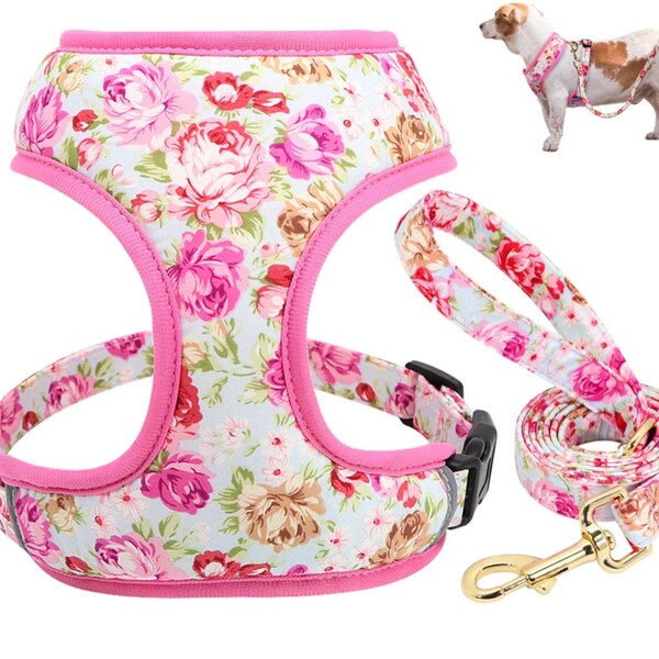 Louis Vuitton Dog Harness Etsy