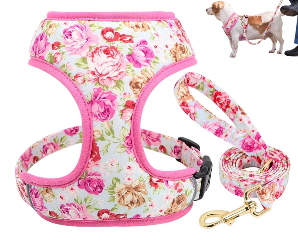 Buy Louis Vuitton Dog Harness Online In India -  India