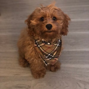 Tan Plaid Bandana, Dog Bandana, Pet Bandana, Tie Dog Bandana, Brown Dog Bandana image 2