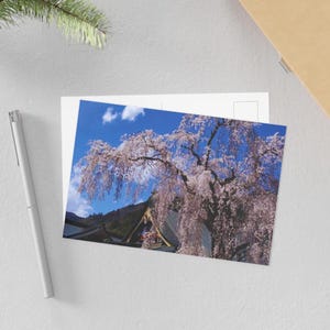 Kirschblüte Postkarte | Gelassener japanischer Tempel & Frühling Sakura | Reise Souvenir und Geschenk