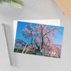 postale de Miharu Takizakura | Le cerisier pleureur emblématique du Japon | Superbe carte d'art Sakura | Parfait pour les cadeaux et les souvenirs de voyage