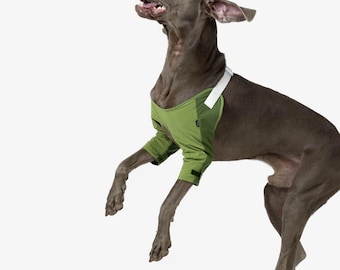 Codera - Funda protectora antifricción para perros medianos y grandes, soporte ligero y ajustable de Bump Up®