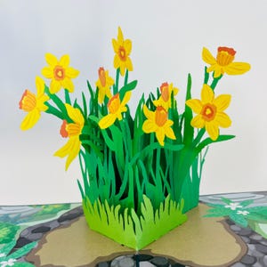Tarjeta WOWPOP "Delicias de Narciso", tarjeta 3D desplegable para cumpleaños, aniversario, felicitaciones, día a día, amistad, amor, flores, agradecimiento, 12,7 x 18,8 cm