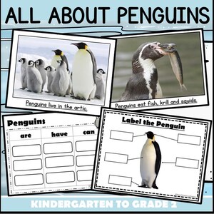 Puede incluir: Una hoja de trabajo imprimible para que los niños aprendan sobre los pingüinos. La hoja de trabajo incluye una imagen de pingüinos en el ártico, una imagen de un pingüino comiendo pescado y un cuadro para completar sobre los pingüinos. El texto de la hoja de trabajo dice "Todo sobre los pingüinos", "Los pingüinos viven en el ártico", "Los pingüinos comen pescado, krill y calamares", "Pingüinos", "son", "tienen", "pueden", "Etiqueta al pingüino", y "Jardín de infancia a segundo grado".