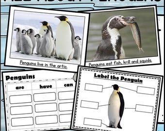 Penguin Informative Writing and  Graphic Organizer printable