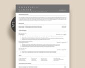 Google Docs Resume ATS Friendly, Professional Resume Template Word Pages, Simple Clean Minimalist CV Template, Executive resume Easy to Edit