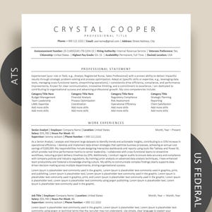 US Government Federal Jobs Resume Template, Google Docs Resume Template ATS Friendly Resume, Simple Clean Minimalist Resume Word, pages.