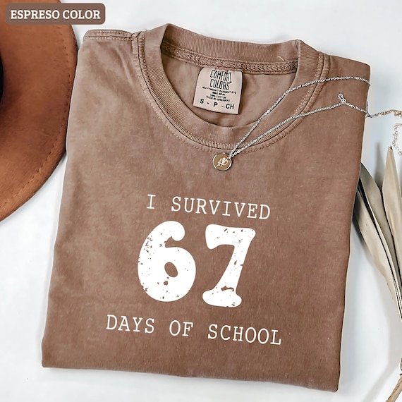 Reading 6-7;Funny Comfort Colors T Shirt, Teacher Shirt, School Librarian Shirt, English Teacher Shirt, Funny 67 Shirt,Trendy Shirt,
