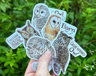 OWL - Individual Bird of Prey Sticker
