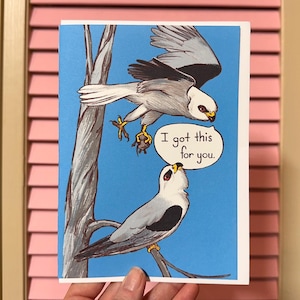 For You -- White-tailed Kite Love Card 5x7