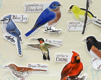 Individual Sticker of an Eastern Backyard Bird