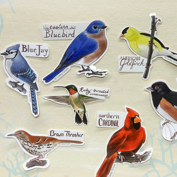 Individual Sticker of an Eastern Backyard Bird