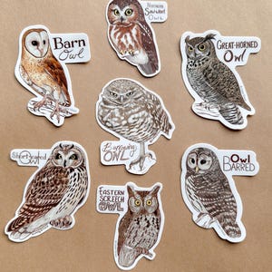 OWL - Individual Bird of Prey Sticker