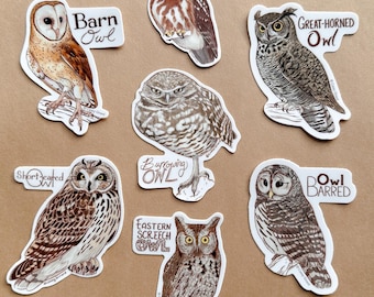 OWL - Individual Bird of Prey Sticker