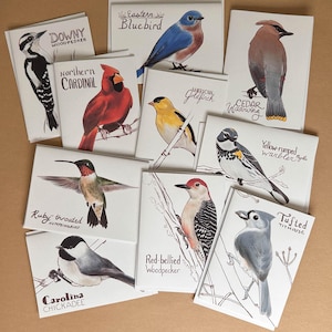 Jeux de cartes vierges représentant vos oiseaux préférés de l'Est
