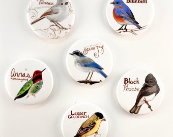 Western Backyard Birds 2 Magnet Set of 6