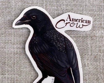 3" Vinyl Sticker -  American Crow