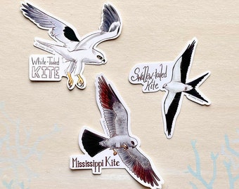 Individual Bird of Prey Sticker - Kites