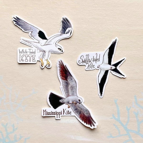 Individual Bird of Prey Sticker - Kites