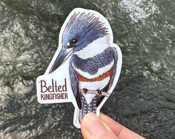 Individual Belted Kingfisher Sticker