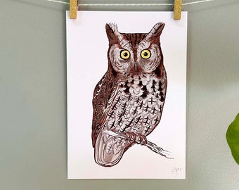 5x7 Print of Eastern Screech Owl