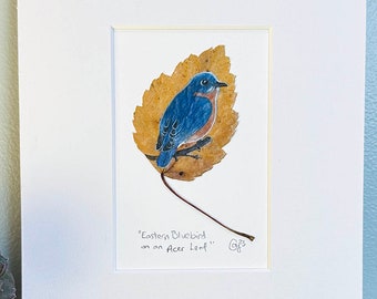 Original Painting - Eastern Bluebird - 5 x 7