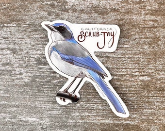 One Sticker of a Western Backyard Bird
