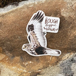 Buteos Individual Hawk Sticker Rough-legged