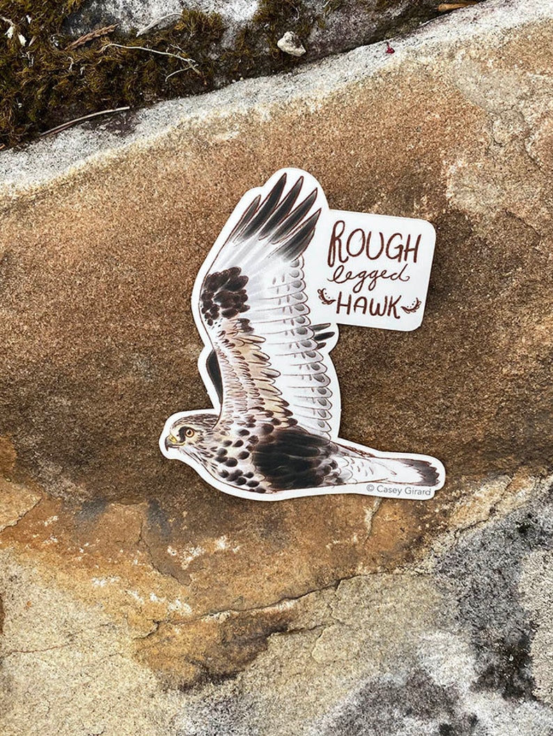 Buteos Individual Hawk Sticker Rough-legged