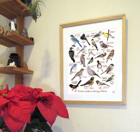 Backyard Birds Of Northern California Etsy