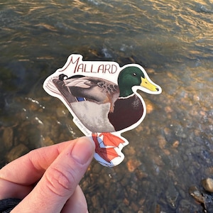 One Dabbling Duck - 3&quot; inch Vinyl Sticker
