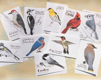 Sets of Blank Cards of Favorite Eastern Backyard Birds